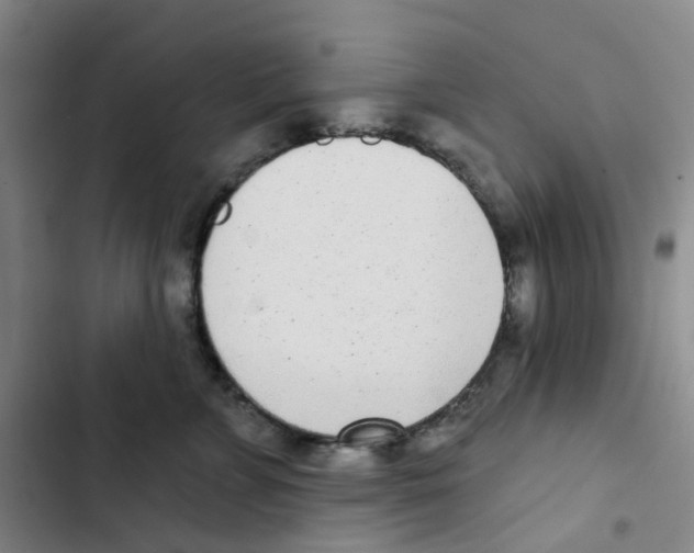 X0000102850715200809151127