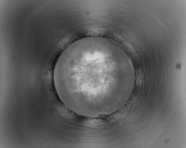 X0000102850716200809151127