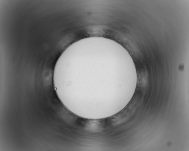 X0000102850717200809151127