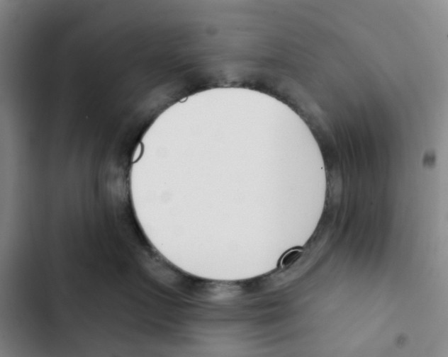 X0000102850719200809151127