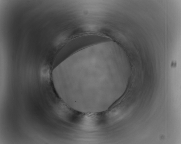 X0000102850720200809151127