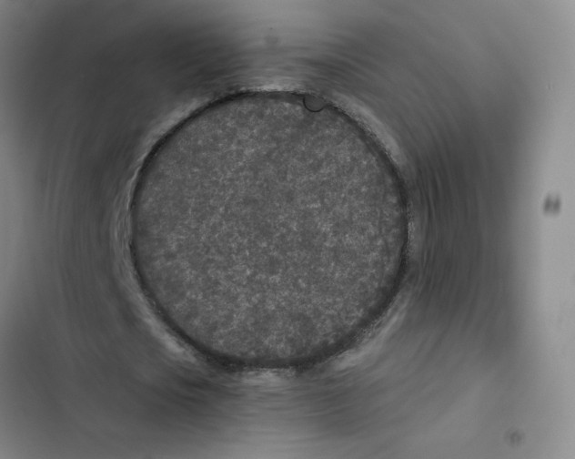 X0000102850721200809151126