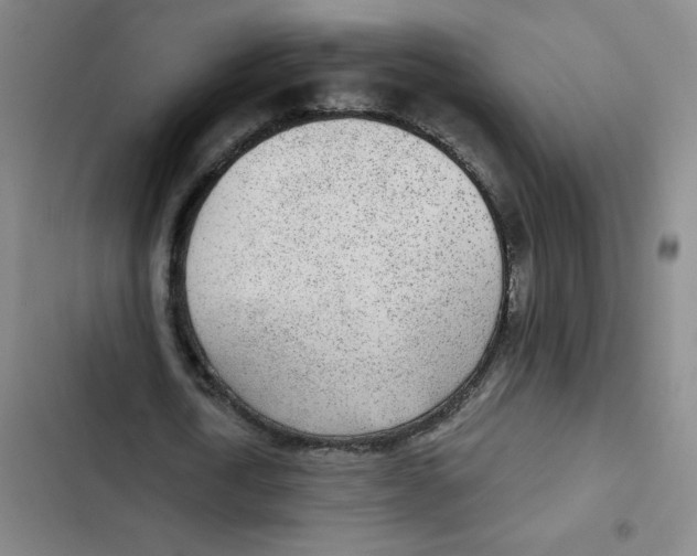 X0000102850722200809151126