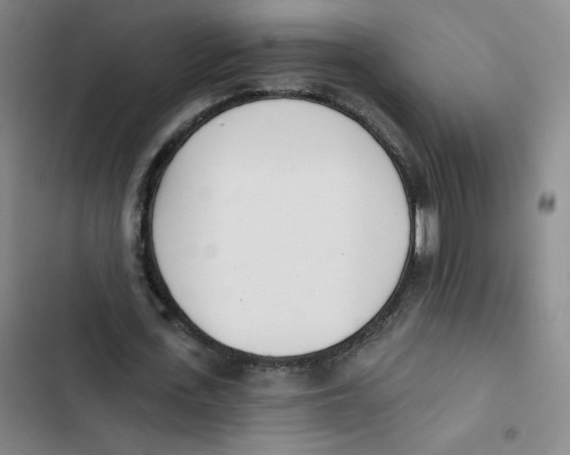 X0000102850723200809151126