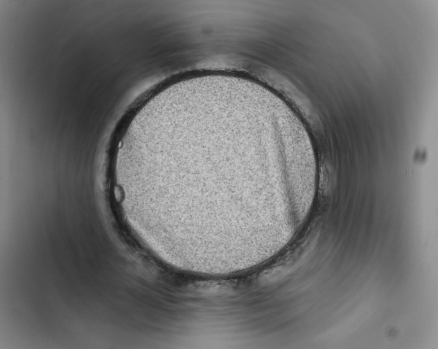 X0000102850724200809151126