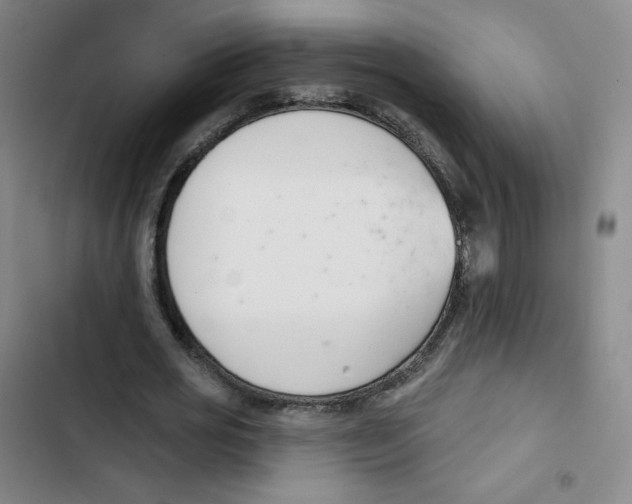 X0000102850725200809151126