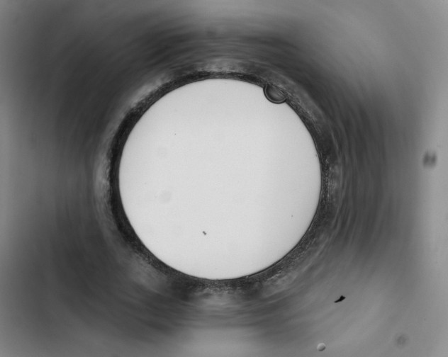 X0000102850727200809151126