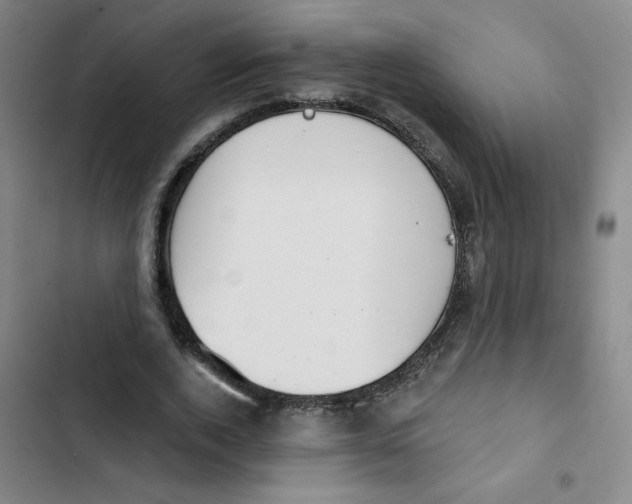 X0000102850728200809151126