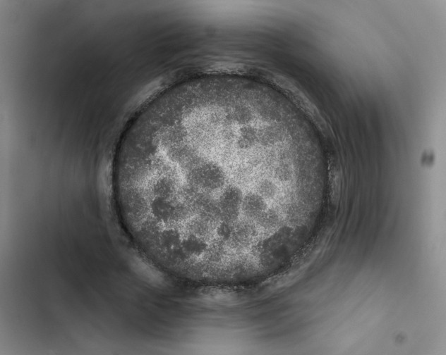 X0000102850729200809151126