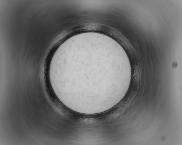 X0000102850730200809151126