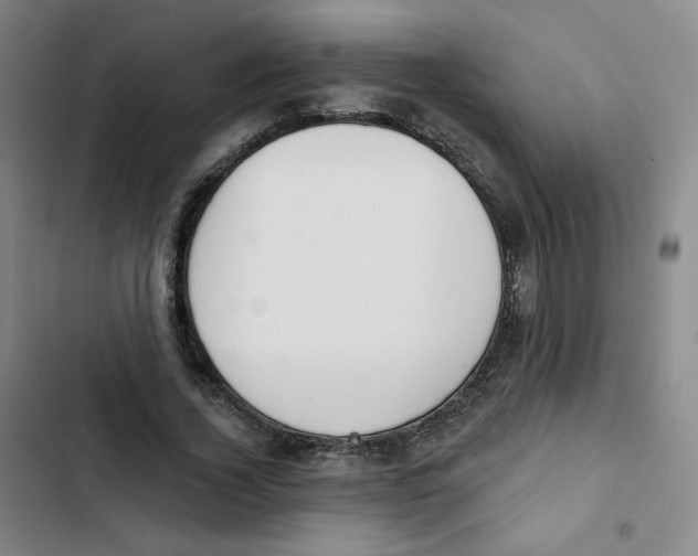 X0000102850732200809151126