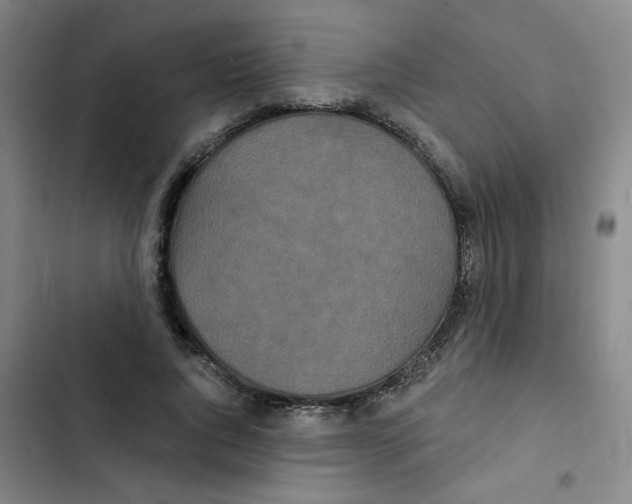 X0000102850736200809151127