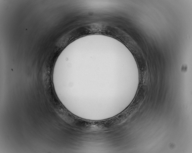 X0000102850737200809151127