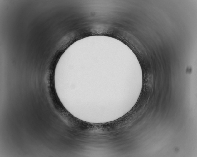 X0000102850738200809151127