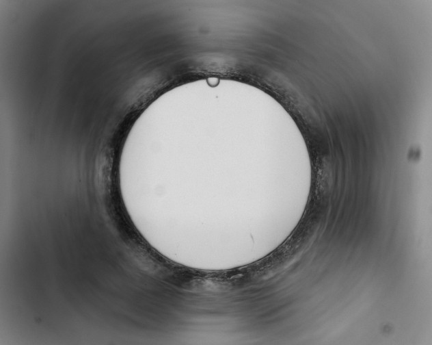 X0000102850739200809151127