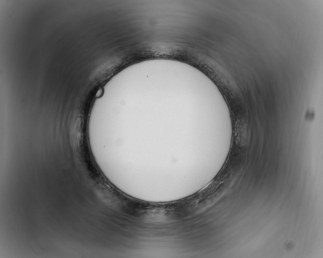 X0000102850740200809151127