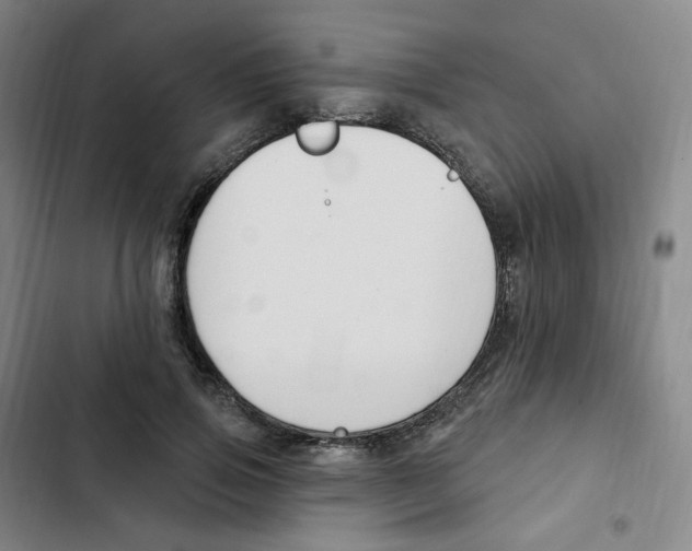 X0000102850741200809151127