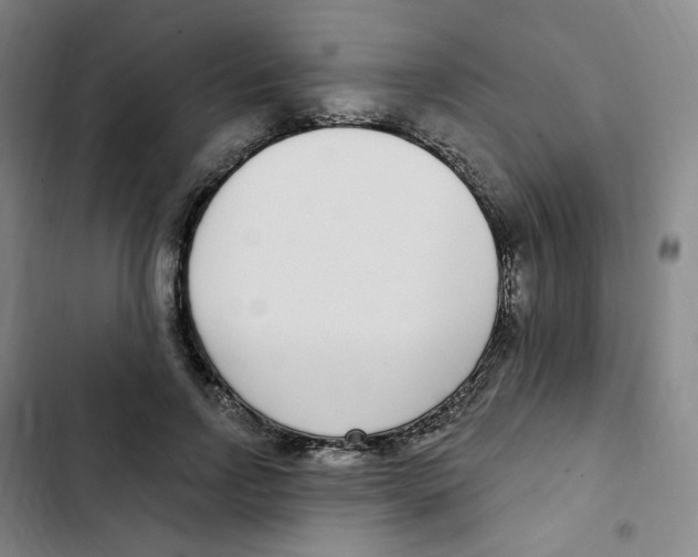 X0000102850742200809151127