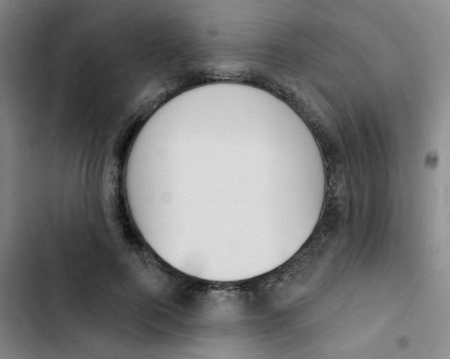 X0000102850744200809151127