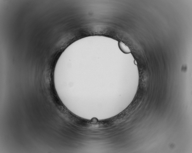 X0000102850746200809151127