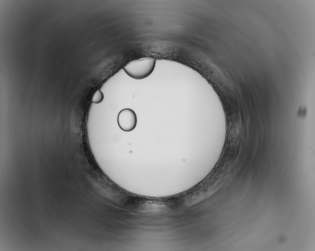 X0000102850749200809151127