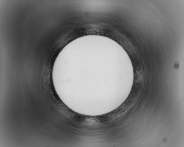 X0000102850753200809151127