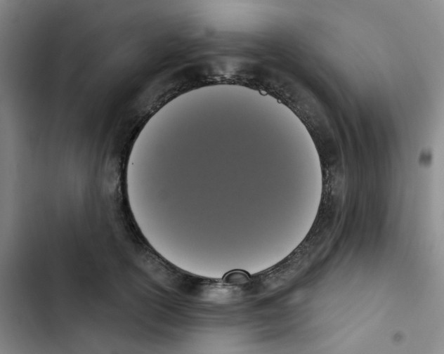 X0000102850754200809151127