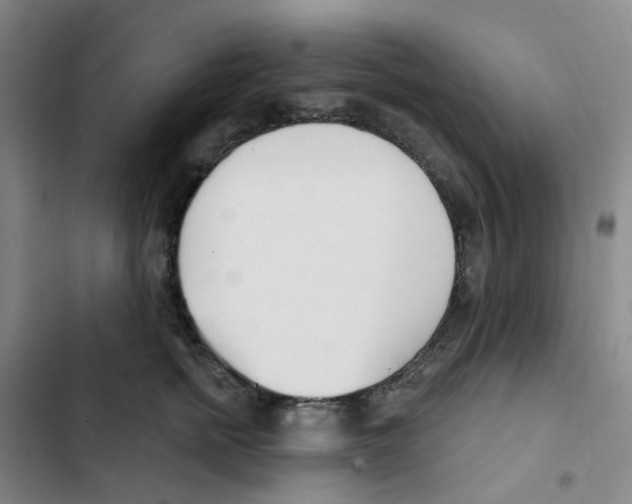 X0000102850758200809151127