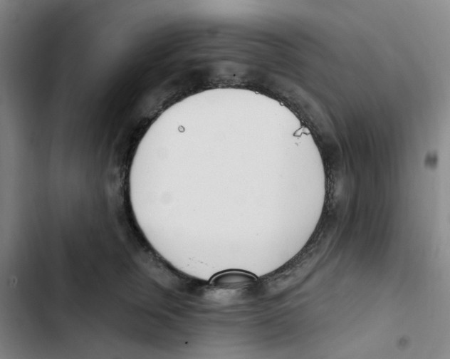 X0000102850759200809151127