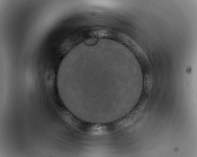 X0000102850760200809151127