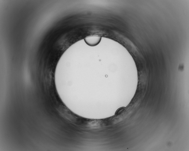 X0000102850761200809151127