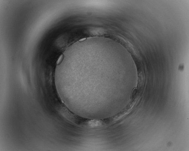 X0000102850762200809151127