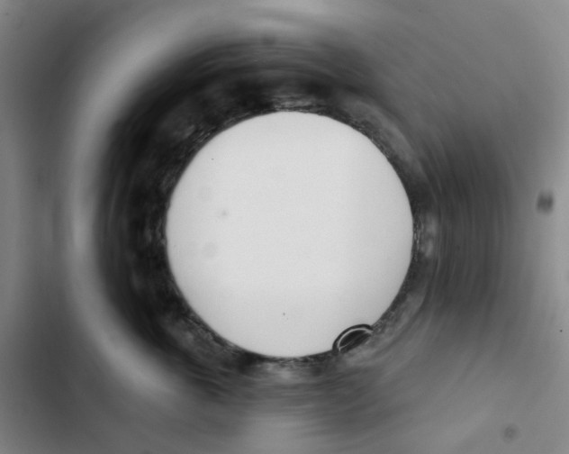 X0000102850763200809151127