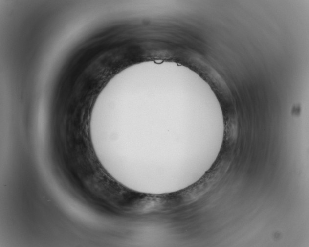 X0000102850764200809151127