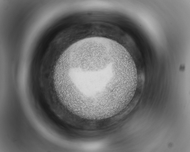 X0000102850765200809151127