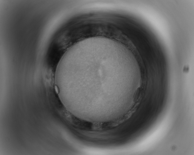 X0000102850766200809151127