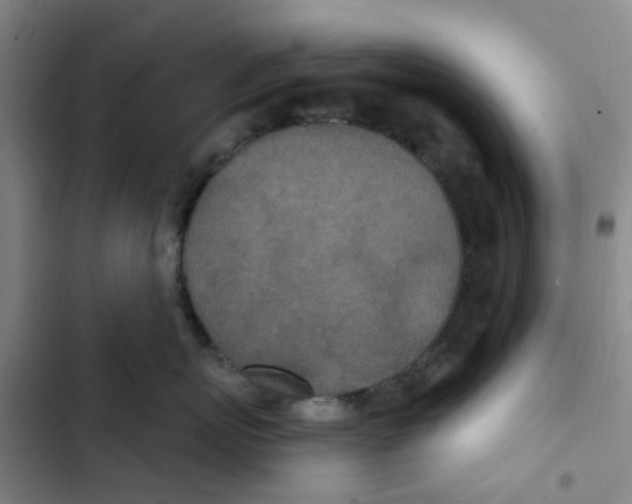 X0000102850767200809151127