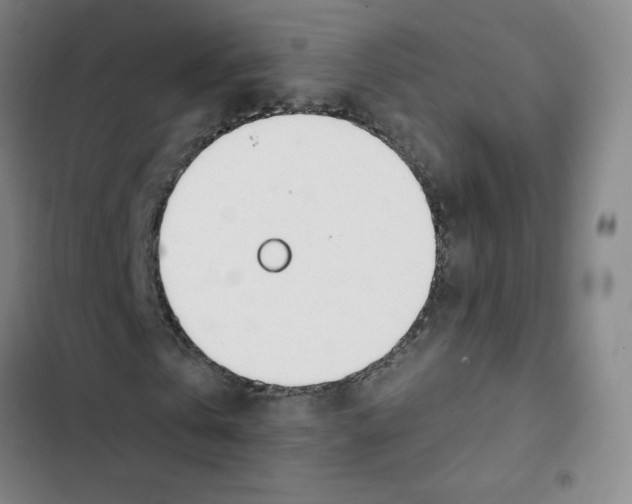 X0000102850769200809151126