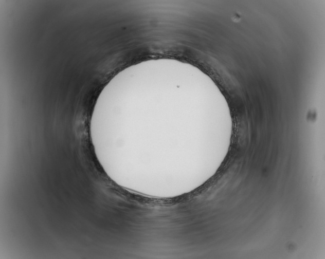 X0000102850770200809151126