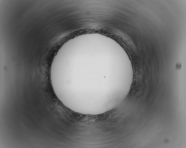 X0000102850773200809151126