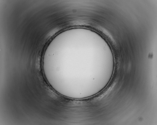 X0000102850777200809151126