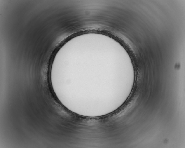 X0000102850778200809151126