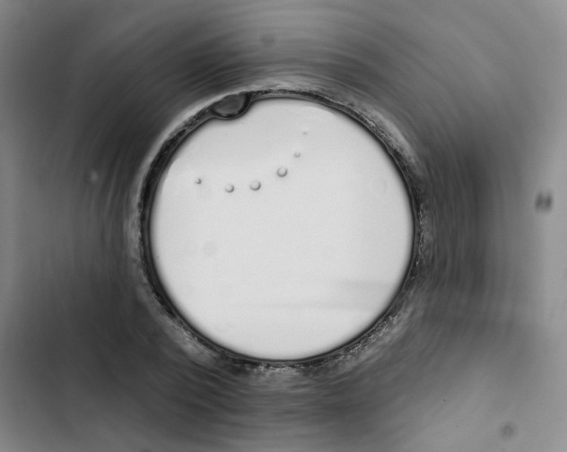 X0000102850784200809151126