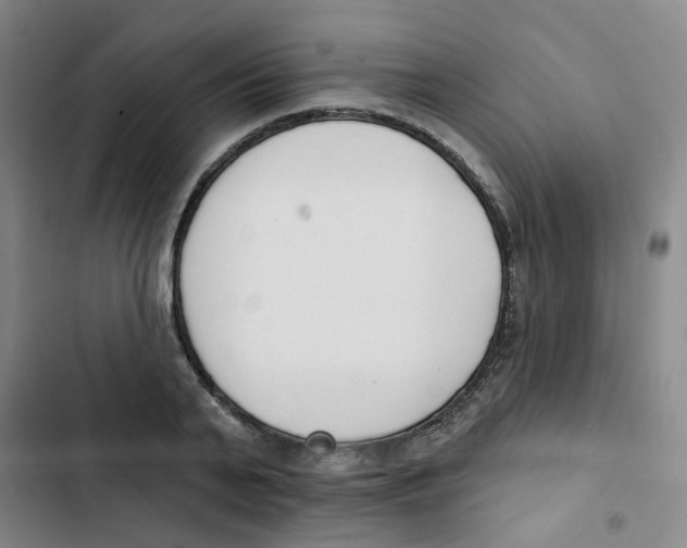 X0000102850791200809151126