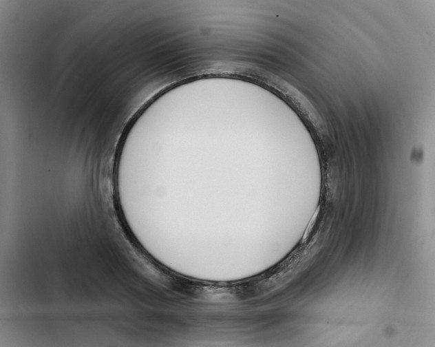 X0000102850794200809151126