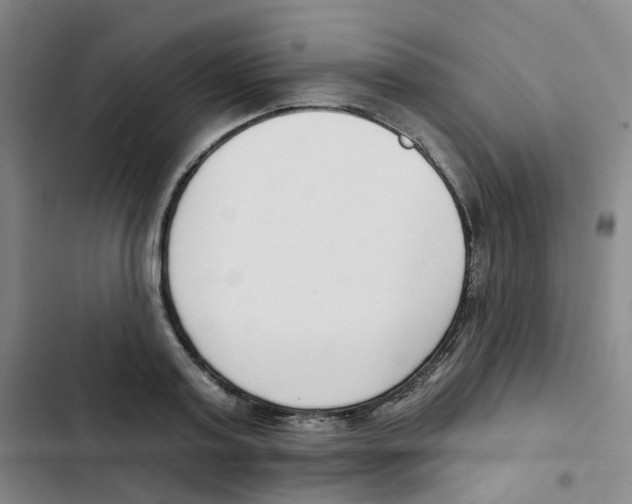 X0000102850795200809151126