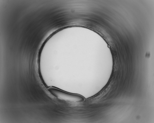 X0000102850796200809151126