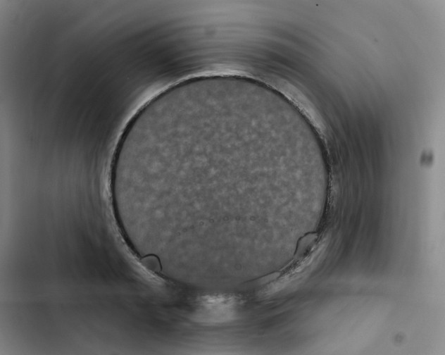 X0000102850797200809151126