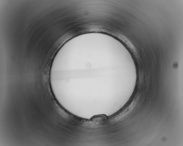 X0000102850801200809151126