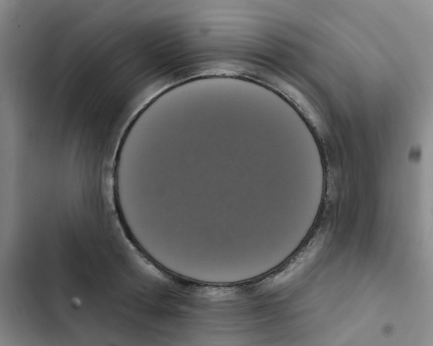 X0000102850802200809151126